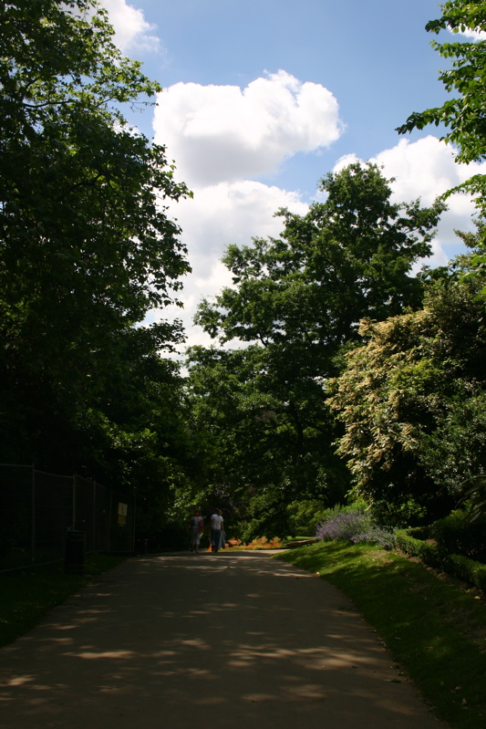 IMG_0675.JPG